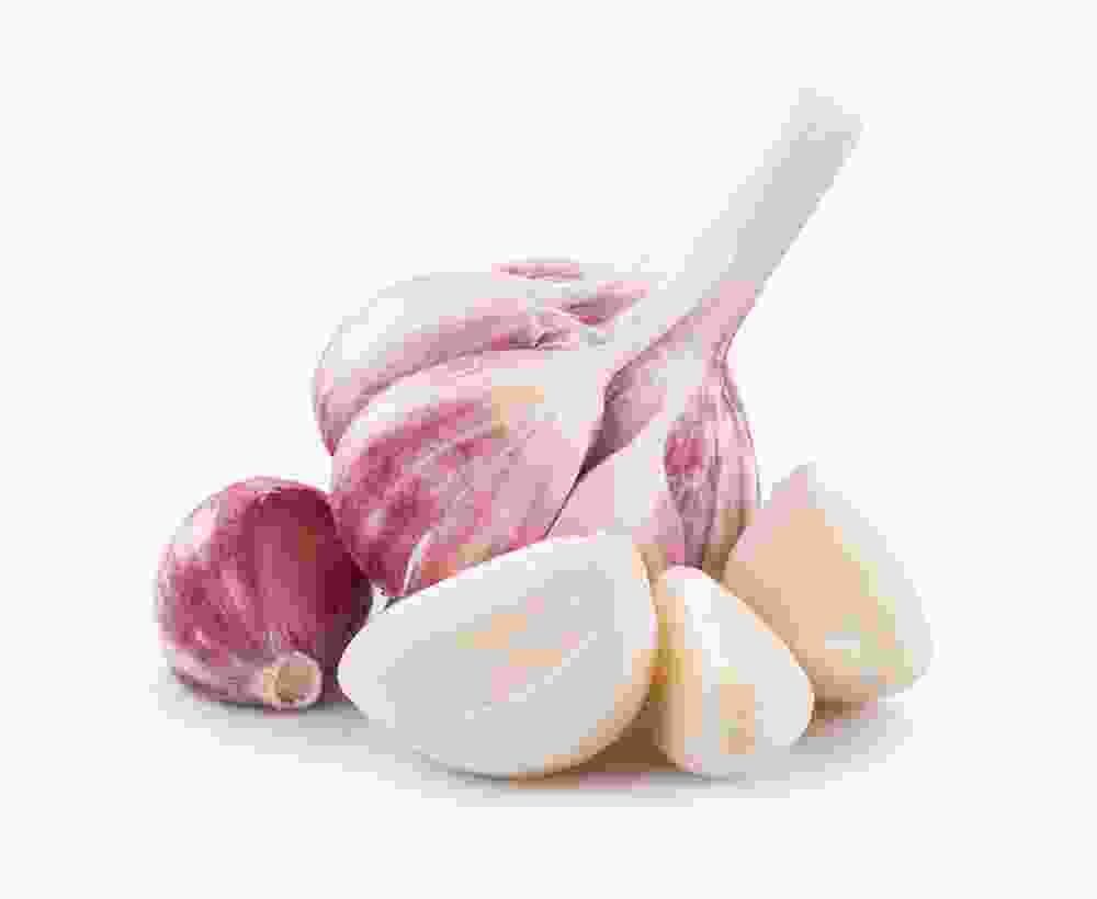 Shop Secondary Image Shop Secondary Image